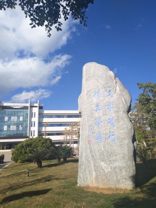 楚雄师范学院物电学院发现校园之美摄影赛