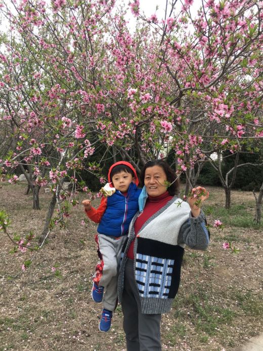 孙泽民 李再冉 芝麻花 马千城 徐伟 李国莲 刘英 朱凤超 王一航 王芸