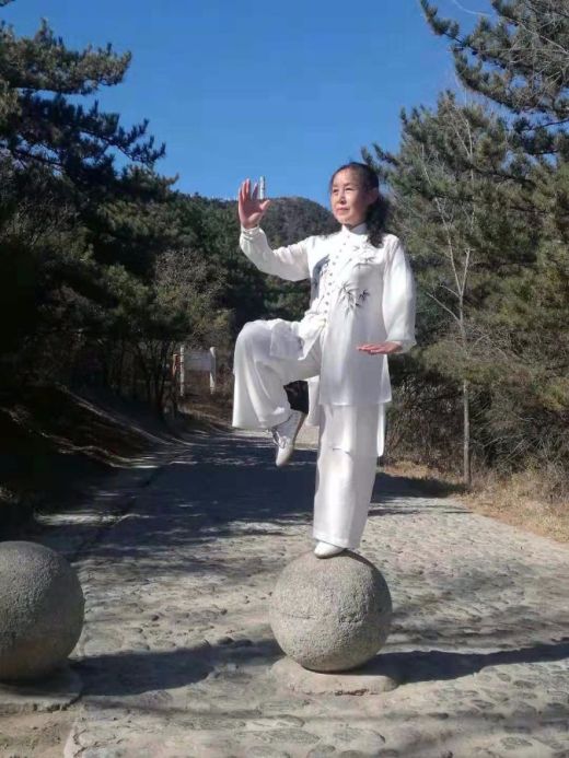 山西省杨氏太极拳协会 最美杨氏太极拳照评选活动